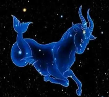 图片[1]-摩羯座最新资讯_坚韧务实的性格密码与2025年运势指南_安卜居