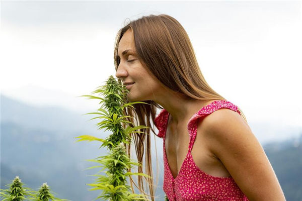 深度解析金牛座女生的性格特质