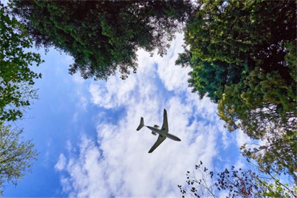 图片[1]-梦见飞机群翱翔天空 预示好运将至