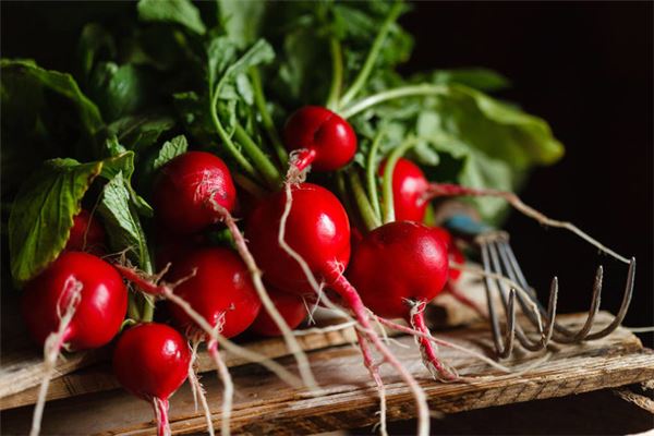 图片[1]-梦见萝卜代表什么 揭秘梦境背后的运势密码