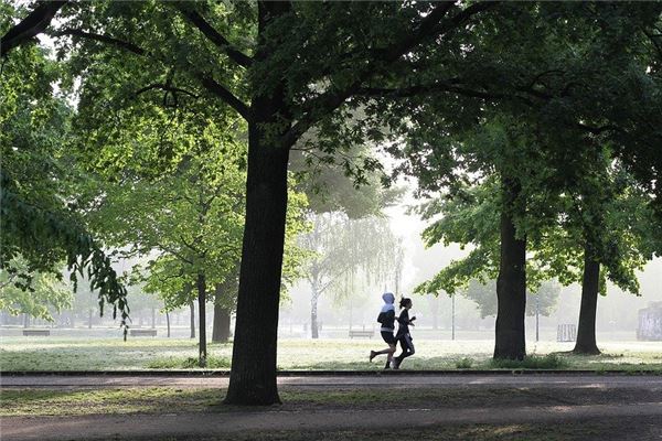 女性梦见成功逃脱的运势解析-安卜居