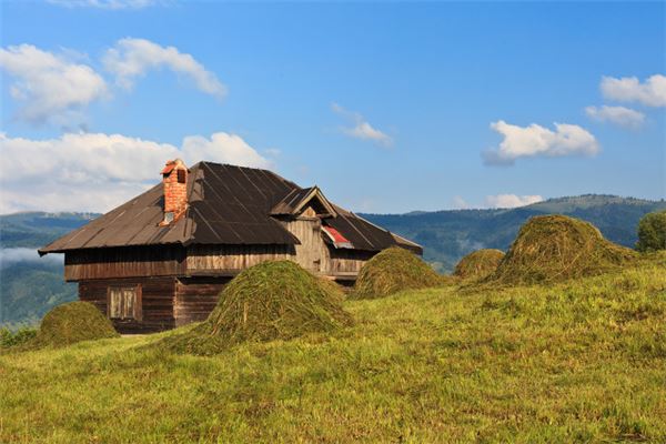 屋顶坍塌梦境预示什么-安卜居