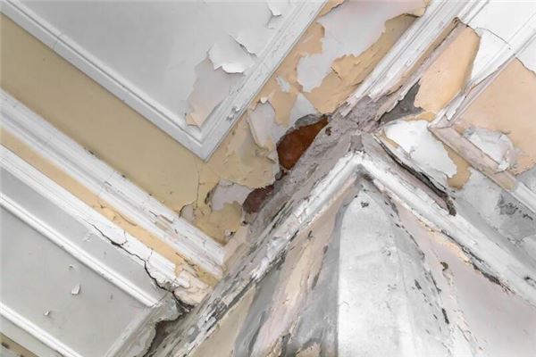 女性梦中屋顶漏水现象的预示-安卜居