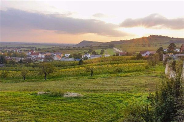 图片[1]-梦境归乡：梦见回老家的运势启示