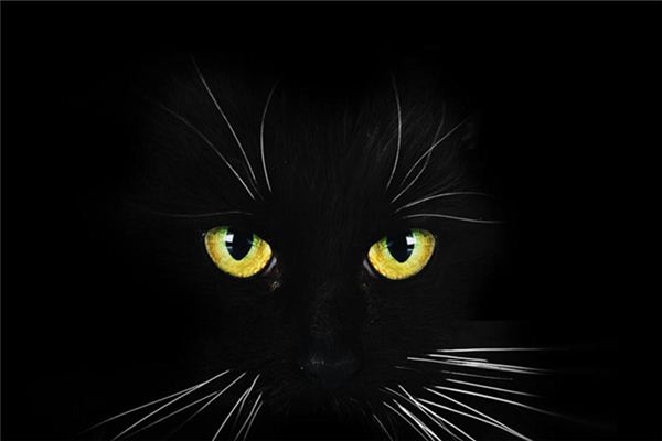 图片[1]-黑色梦境的运势解读