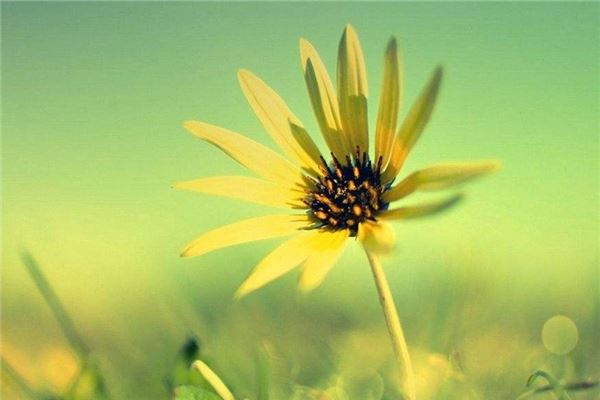 图片[1]-天干地支五行对照 命运密码解析