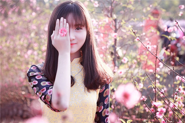 解析地支相冲对命理格局的作用