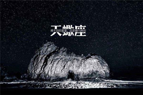 图片[1]-天蝎座最佳生肖组合揭秘