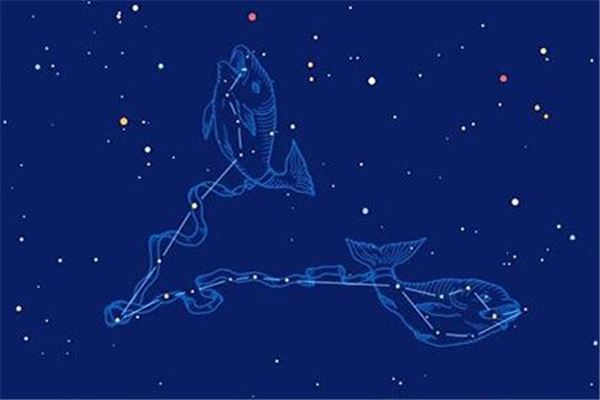 双鱼座女生最适合的星座配对-安卜居