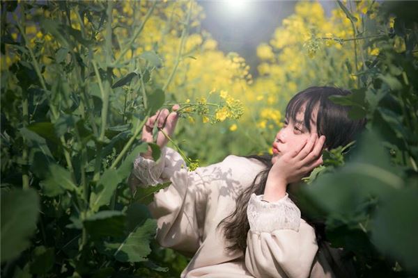 2020年双子座运势迎来巨变