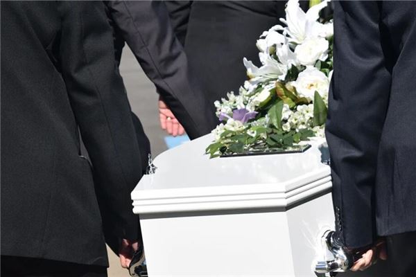 梦见蘑菇代表什么征兆