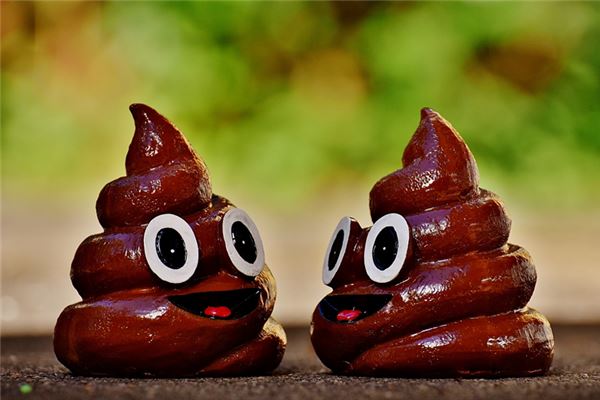 图片[1]-粪便入梦的象征意义