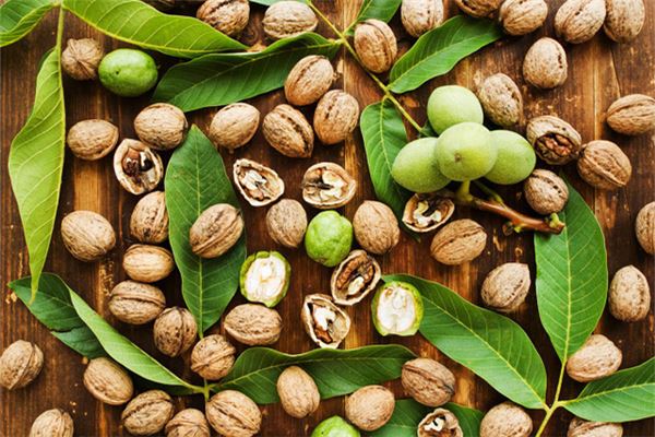 图片[1]-梦与他人合作拾取智慧核桃