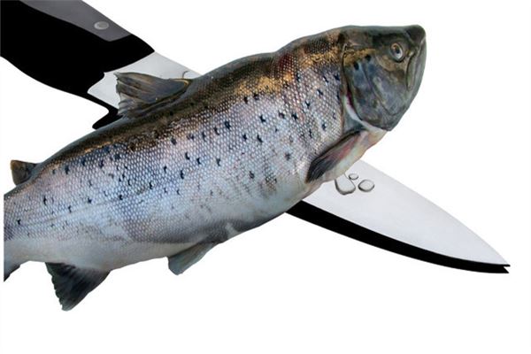 图片[1]-杀鱼梦境预示着什么运势变化