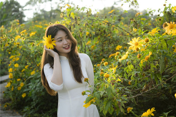 图片[1]-天干地支中一气格的命理奥秘解析