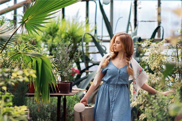 地支六合的奥秘详解