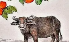 2026年生肖牛孽缘生肖揭秘