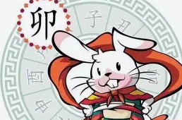 属兔人车内放什么能提升运势