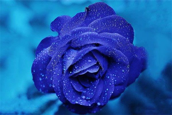 图片[1]-蓝色梦境解梦寓意