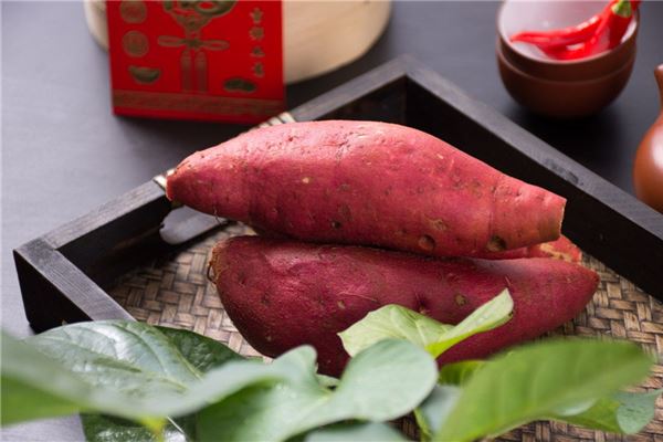 图片[1]-梦见满地红薯却非己物