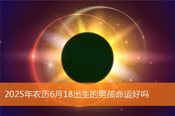 2025年农历六月十八男孩生辰运势解析