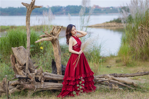 图片[1]-揭秘十二地支相害对运势的影响与应用