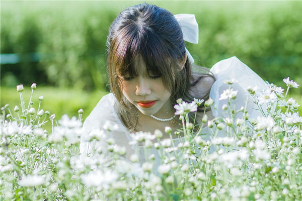 图片[1]-戌土地支的性格象征与运势