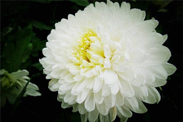 梦见已故父亲传递的讯息