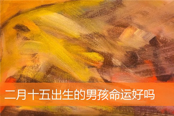 二月十五出生男孩的命理与运势解析