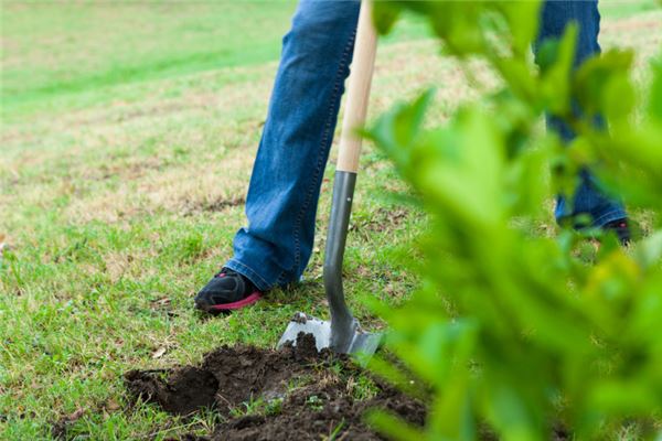 梦见挖掘坟墓的寓意与预示