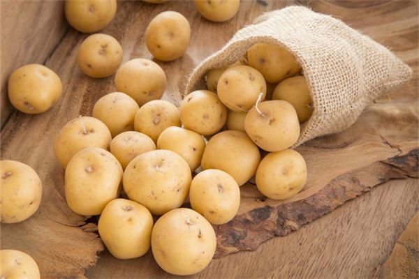 梦到种植土豆的寓意解析