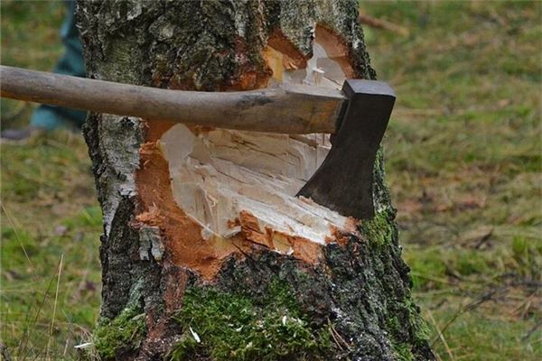 图片[1]-梦见结伴上山砍柴的运势解读