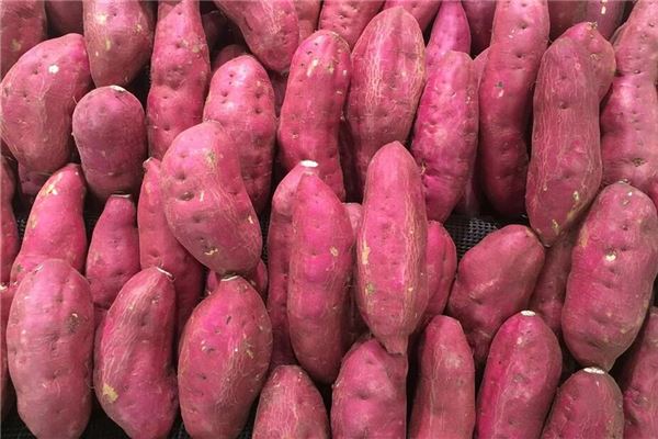 图片[1]-孕期梦境：红薯预示男女的秘密