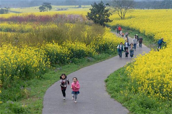 被追赶的梦预示着什么