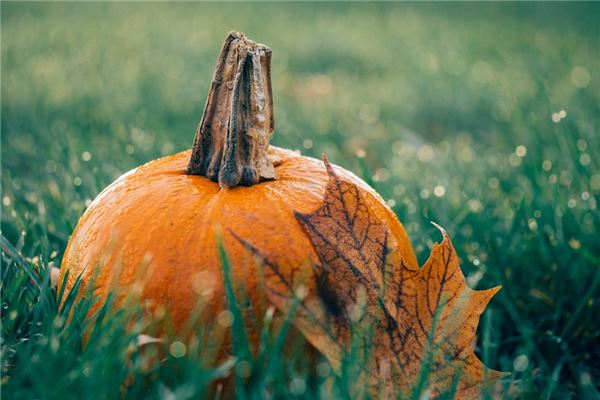 孕妇梦到南瓜预示着什么