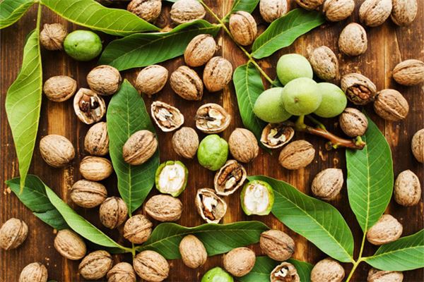 梦到拾树下脱壳核桃