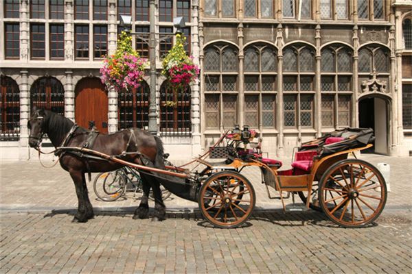 图片[1]-已婚女性梦见坐马车的运势解读