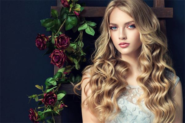 地支的奥秘解析