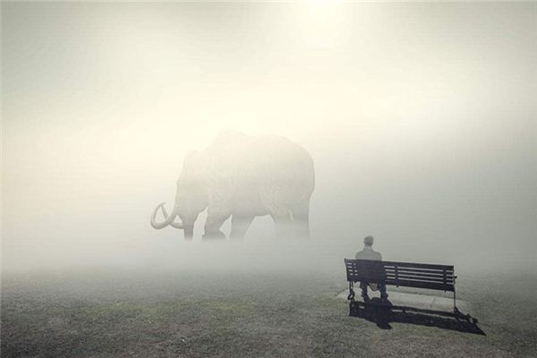 梦见梦中梦-安卜居