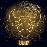 金牛座男生的性格特征,你了解多少