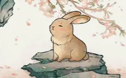 87年属兔的人二婚会在几岁迎来新姻缘