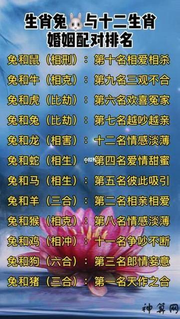 属鼠与属兔相配吗？