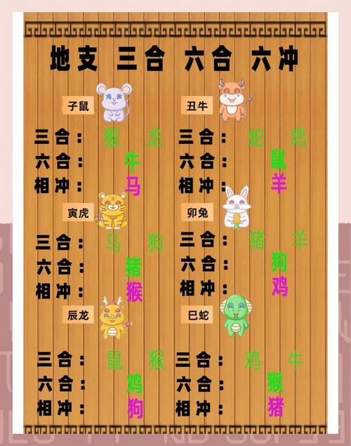 属鼠的三合与三冲生肖解析