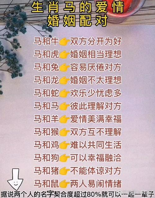 图片[1]-属马的人与哪些生肖最相配