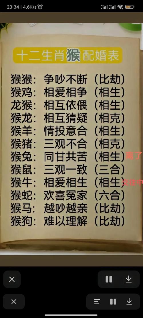 属猴与哪些生肖最相配?婚姻幸福指数最高的组合