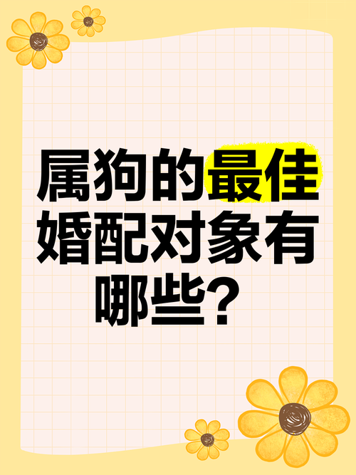 图片[1]-属狗女性最理想的婚配生肖