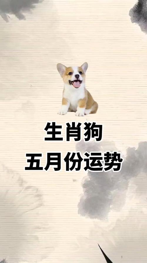 图片[1]-2026年属狗人全年运势详解