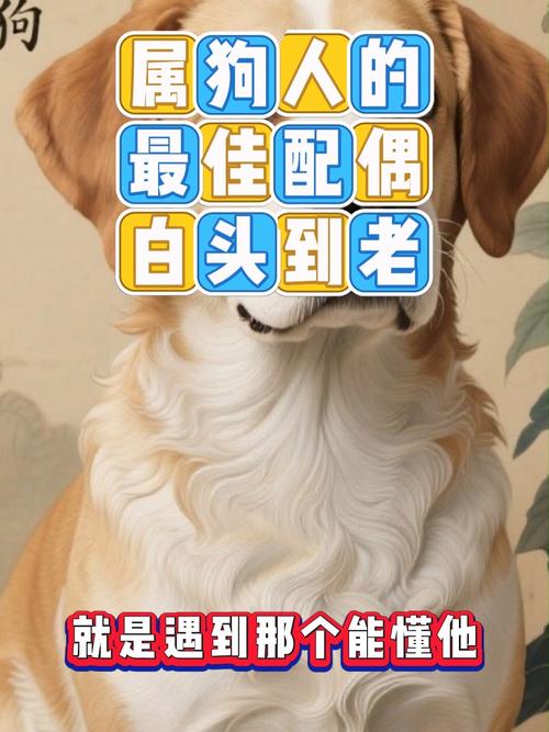 属狗人最理想的婚配对象