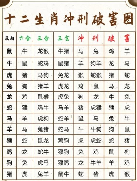 属猪的三合与三冲生肖解析
