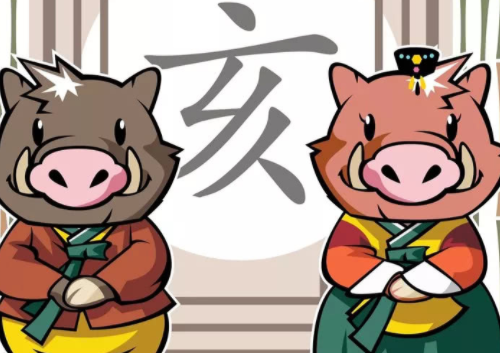 属猪与属马的缘分匹配度解析